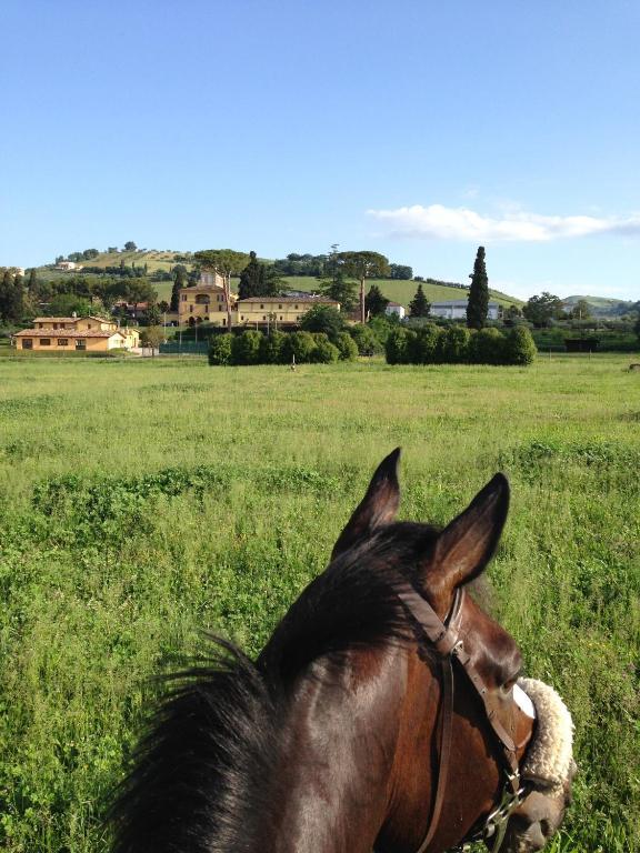 Agriturismo Villa Irelli Castellalto Exteriér fotografie